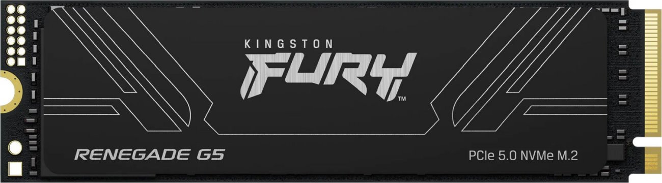 Kingston SSD FURY Renegade G5, M.2, 2TB