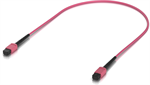 Ubiquiti OM4 MPO-12 Multimode optický patch cord, 0.5m